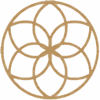 Icon Blume 2